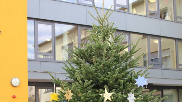 Weihnachtsbaum