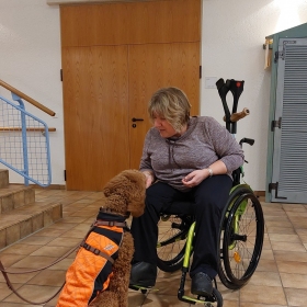 Alltagssituationen werden trainiert