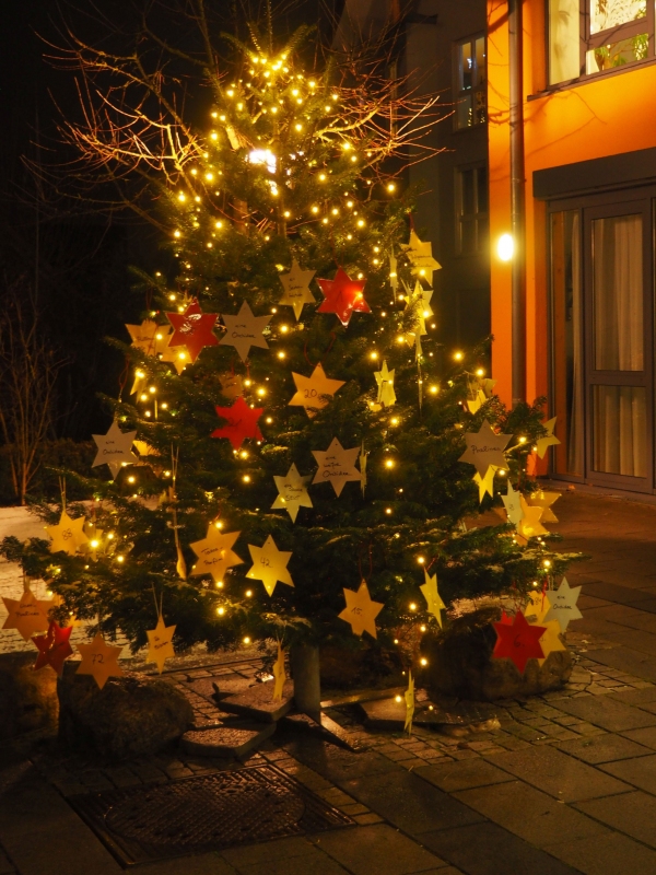 Wunschbaum