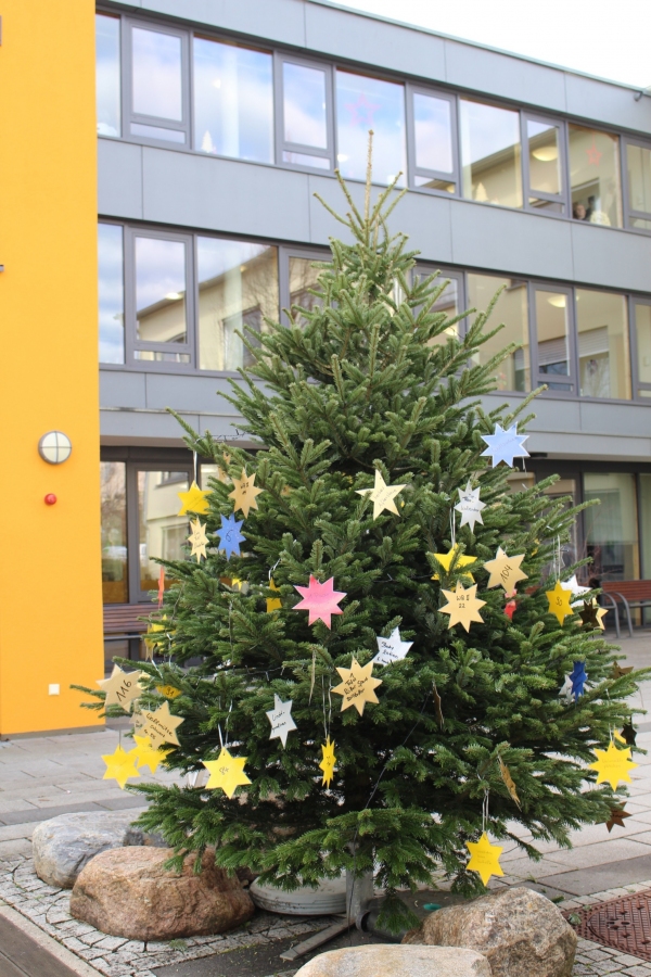 Weihnachtsbaum