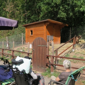 Ein beliebter Treffpunkt im Garten: Das Ziegengehege.