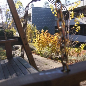 Ein beliebter Platz: Die Schaukel im Garten